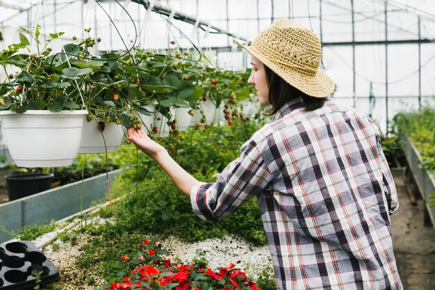 Mujer de tiro medio mirando flores