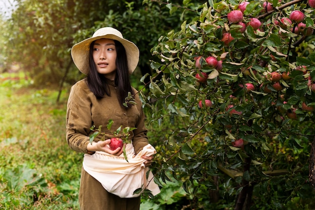 Mujer de tiro medio recogiendo manzanas