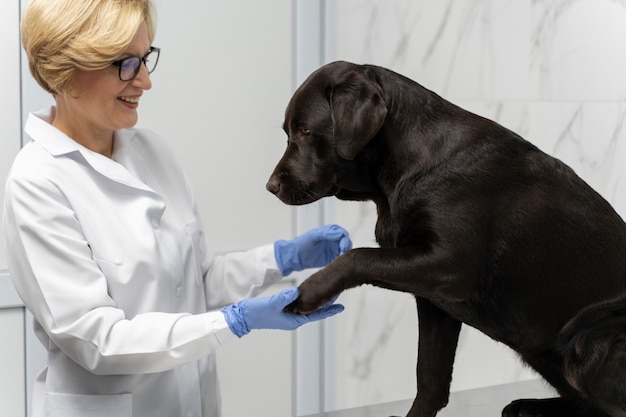 Mujer de tiro medio sosteniendo la pata de un perro