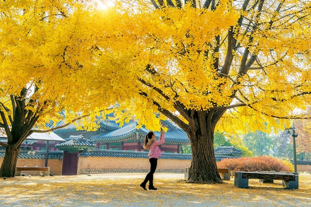 Mujer toma una foto en otoño en gyeongbokgung