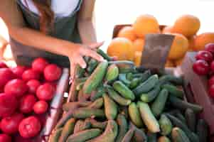 Foto gratuita mujer tomando un montón de pepinos