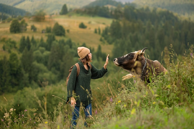 Mujer tratando de acercarse a una vaca