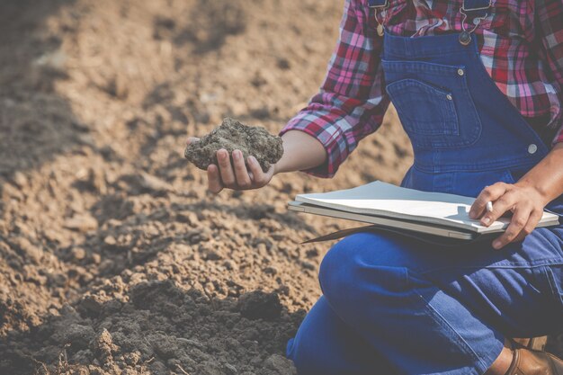 Las mujeres agricultoras están investigando el suelo.