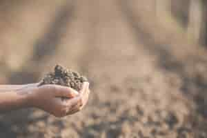 Foto gratuita las mujeres agricultoras están investigando el suelo.