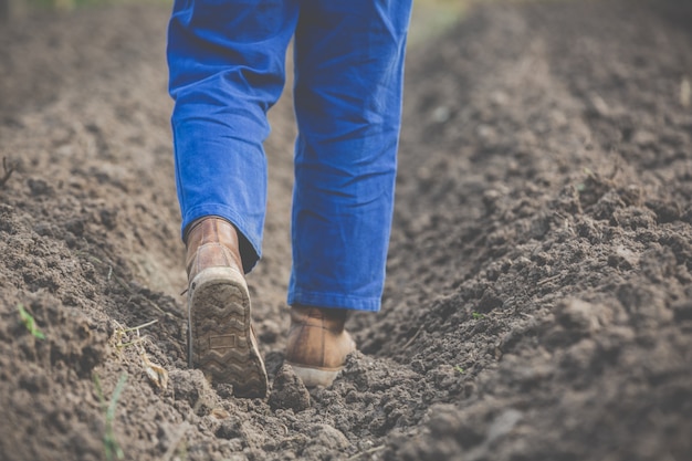 Las mujeres agricultoras están investigando el suelo.