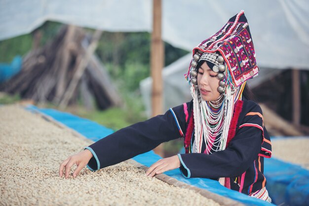 Las mujeres Akha sonrieron y admiraron el café.