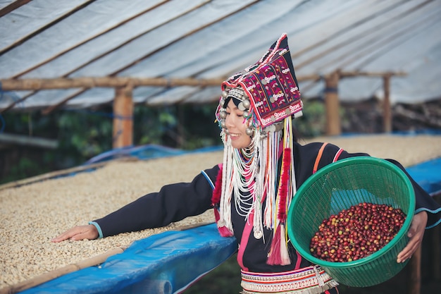 Las mujeres akha sonrieron y llevaron una cesta de café en grano.