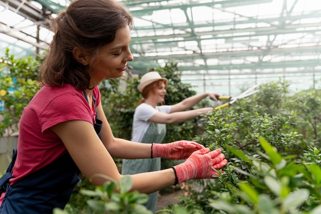 Mujeres cuidando sus plantas en invernadero.