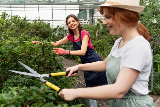 Mujeres cuidando sus plantas en invernadero.