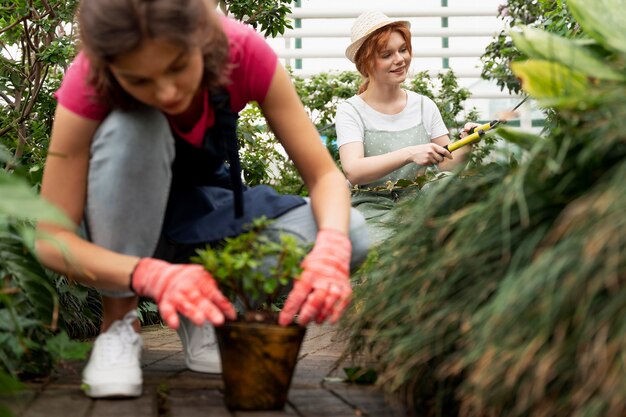 Mujeres cuidando sus plantas en invernadero.