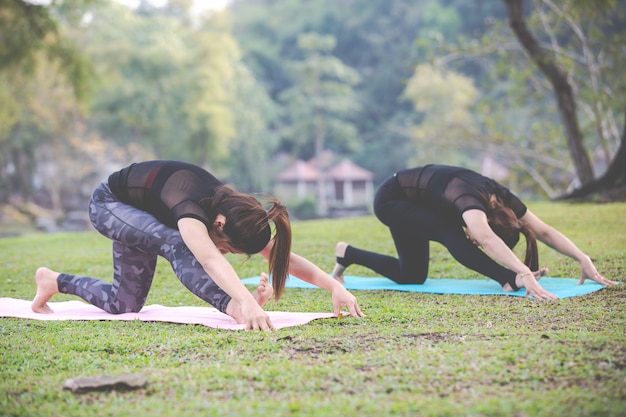 Las mujeres están jugando yoga en el gimnasio. El ejercicio