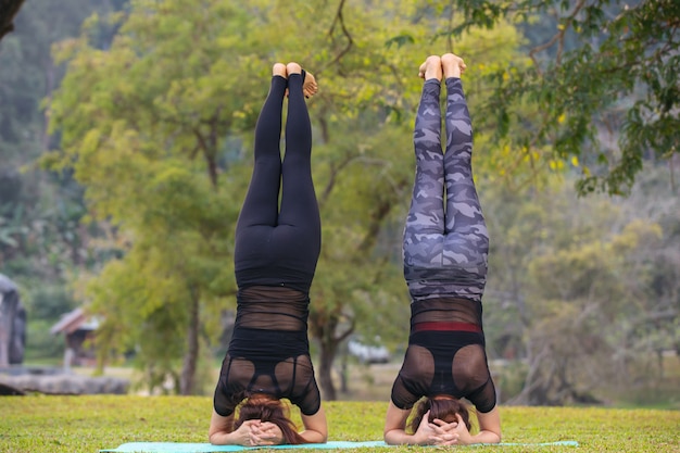 Las mujeres están jugando yoga en el gimnasio. El ejercicio