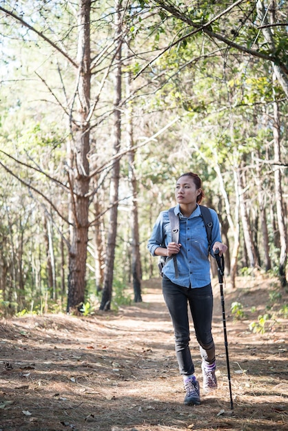 Mujeres excursionista con mochila caminando a través de un bosque de pinos.