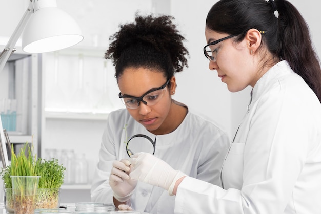 Foto gratuita las mujeres experimentan con brotes