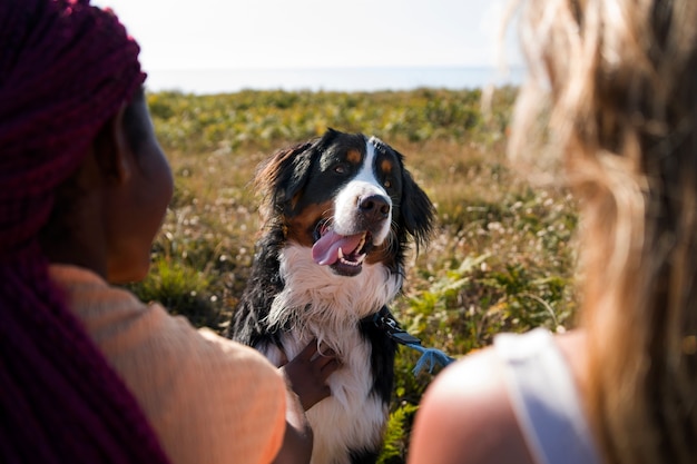 Mujeres jóvenes divirtiéndose con un perro en la playa