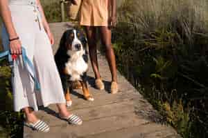 Foto gratuita mujeres jóvenes divirtiéndose con un perro en la playa