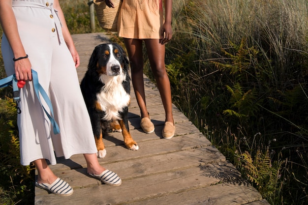 Mujeres jóvenes divirtiéndose con un perro en la playa