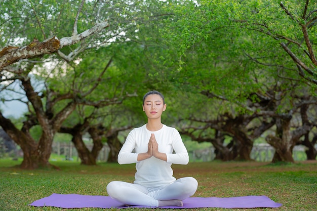 Las mujeres juegan yoga en el parque.