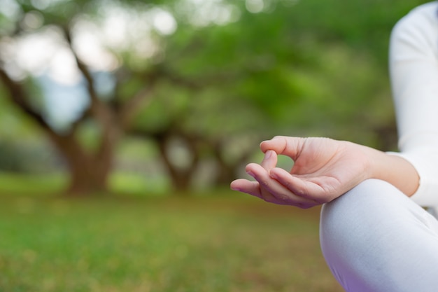 Las mujeres juegan yoga en el parque.