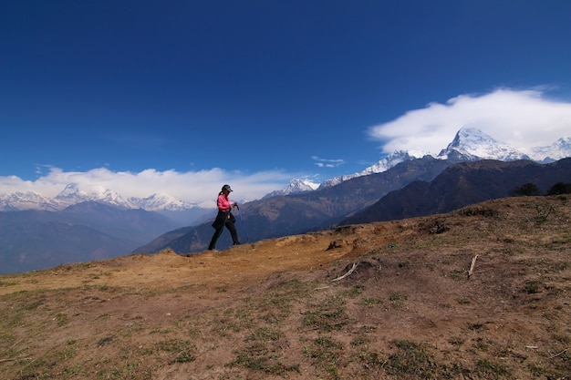 Las mujeres que caminan con la mochila que sostiene trekking se pegan alto en las montañas cubiertas con nieve en verano. Observación del paisaje durante un breve descanso