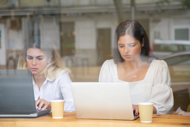 Mujeres rubias y morenas enfocadas que trabajan en computadoras portátiles y se sientan a la mesa con café para llevar