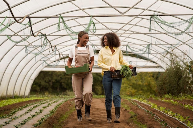 Foto gratuita mujeres sonrientes de tiro completo trabajando en la granja