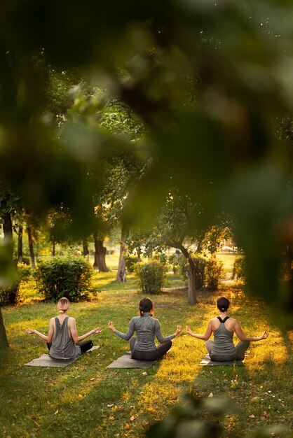 Mujeres de tiro completo meditando al aire libre