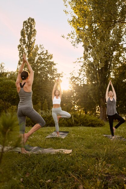 Mujeres de tiro completo meditando juntos