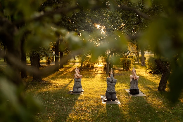 Mujeres de tiro completo meditando en la naturaleza.