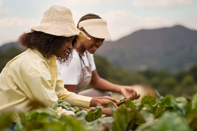 Foto gratuita mujeres de tiro medio trabajando juntas