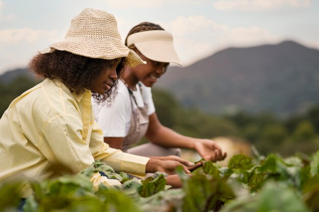 Mujeres de tiro medio trabajando juntas