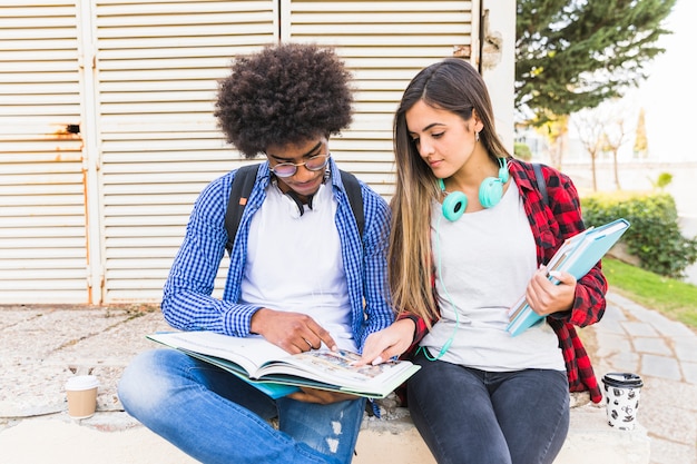 Multi étnica joven pareja estudiando juntos en el parque