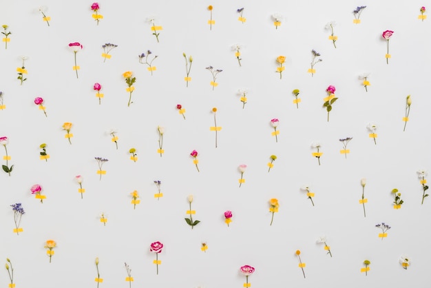 Foto gratuita muro de flores anunciando la primavera