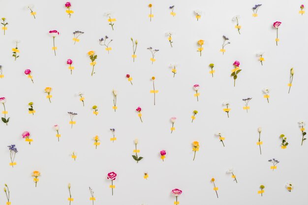 Muro de flores anunciando la primavera