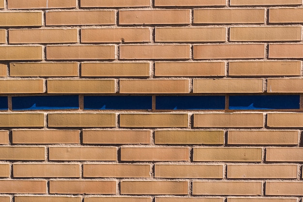 Muro de ladrillo con ladrillos azules en medio