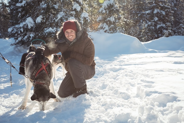 Musher sonriente atar perros husky al trineo