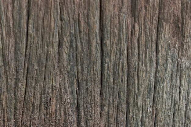 la naturaleza de fondo de madera de madera detalle