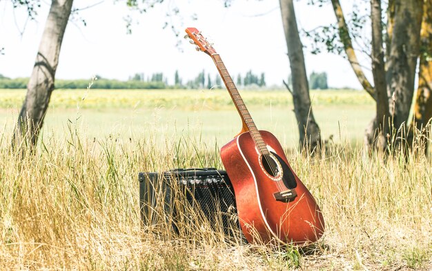 Naturaleza de la guitarra acústica, el concepto de música y naturaleza