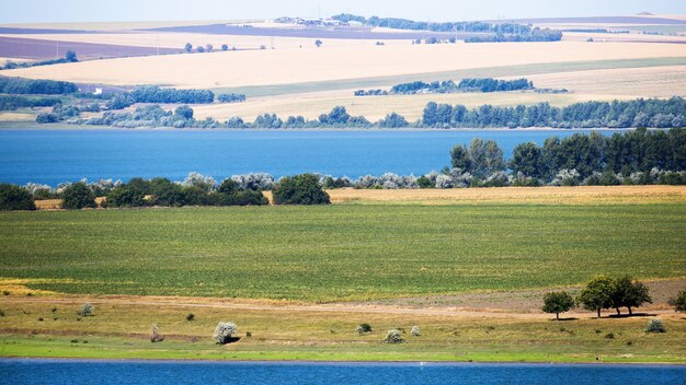 Naturaleza de Moldavia, prado con camino de pueblo y vegetación