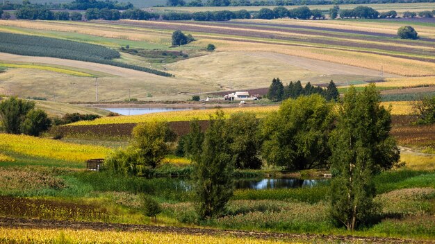 Naturaleza de Moldavia, valle con dos lagos, frondosos árboles, campos sembrados y una casa cerca del agua