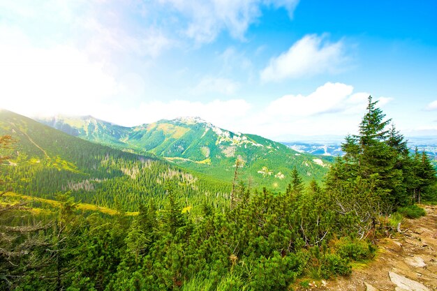 Naturaleza en las montañas.