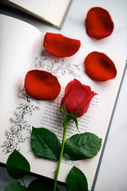 Naturaleza muerta de hermosas rosas rojas para la celebración de Sant Jordi