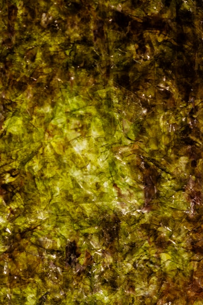 Naturaleza muerta del musgo detalles en primer plano