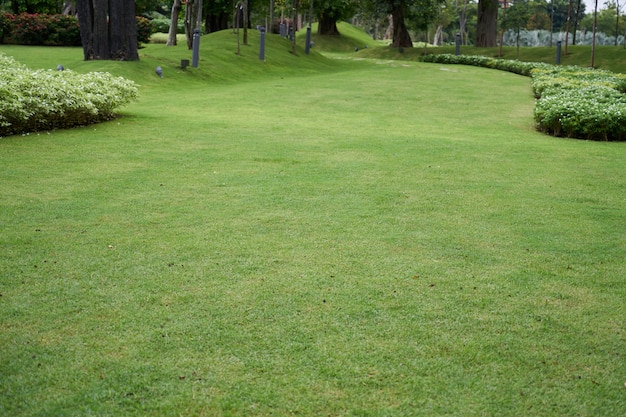 la naturaleza de primavera fondos frescos al aire libre