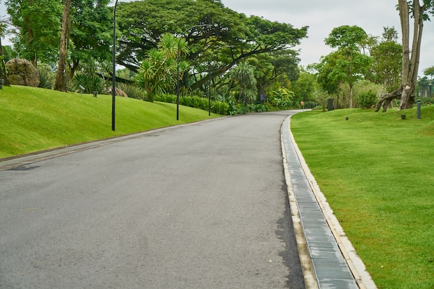 la naturaleza de primavera parque planta hermosa