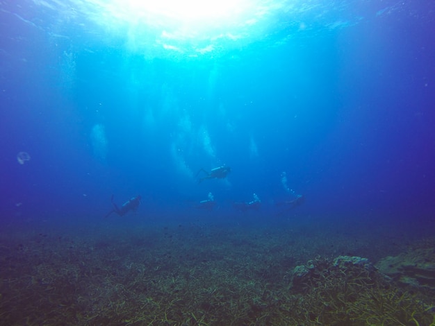 la naturaleza viajes por mar silueta