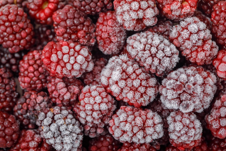 Foto gratuito nevadas moras frescas. de cerca. horizontal.