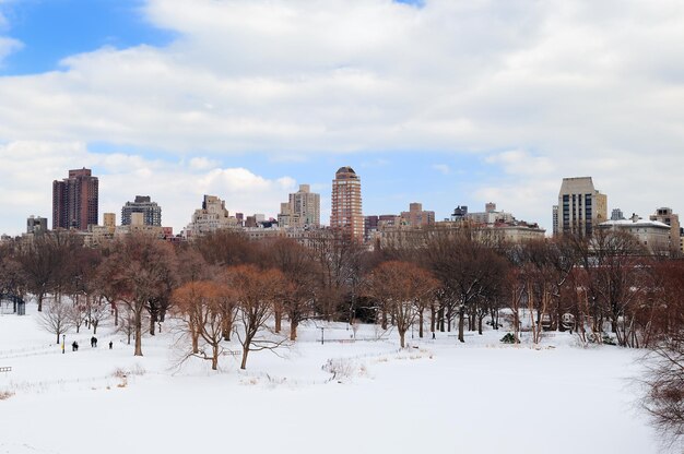 New York City Manhattan Central Park en invierno con nieve y horizonte de la ciudad con rascacielos, cielo azul nublado.