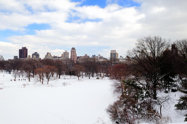 New York City Manhattan Central Park en invierno con nieve y horizonte de la ciudad con rascacielos, cielo azul nublado.