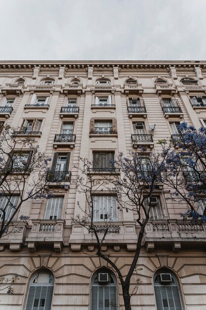 Ángulo bajo de edificio de hormigón en la ciudad con árboles